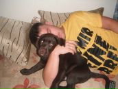 Фотография Кульпина Сереги