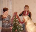 Фотография Костаревой Екатерины