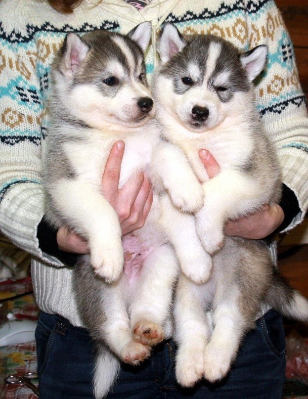 Артем Рочев фотография #50