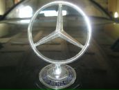 Фотография Махотина Тимура