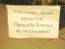 Фотография Федоричевой Дарьи