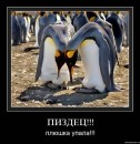 Фотография Исмаилова Кямала