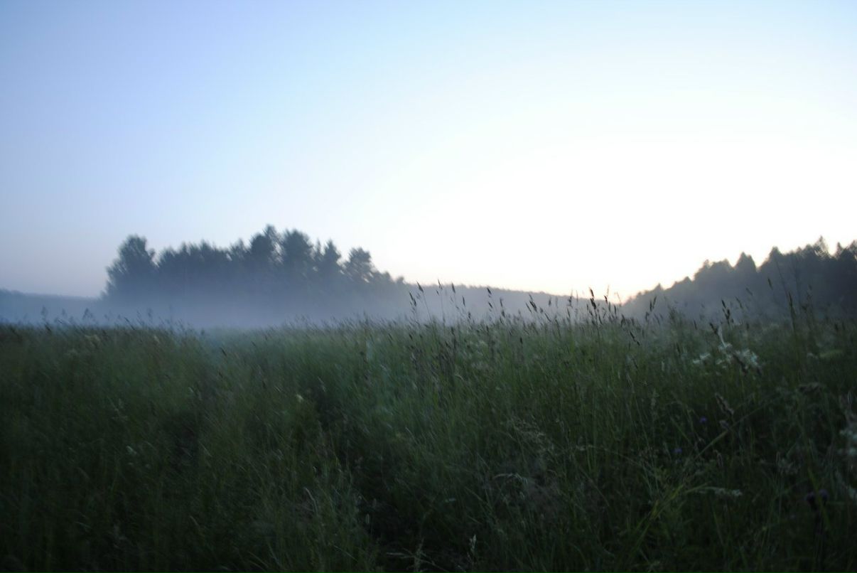 Дмитрий Павловский фотография #16