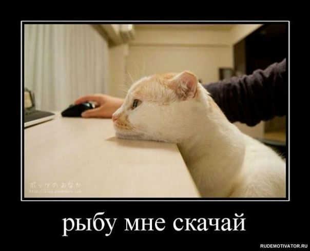 Дмитрий Сурин фото №45