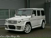 Серый Хондогій фотография #40 (источник - https://vk.com/id6611207)