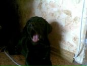 Андр Шир фотография #4 (источник - https://vk.com/id35226281)