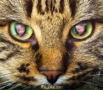 Фотография Федосеенковой Ларисы