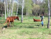 Фотография Divjakovski Zlatko