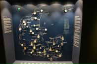 Марина Ніщук фотография #44 (источник - https://vk.com/id32074358)