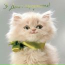 Канстантін Кульчинськой фотография #3 (источник - https://vk.com/id148280241)