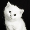 Катя Бірюзова фотография #10 (источник - https://vk.com/id157045931)