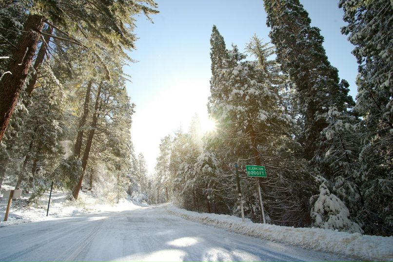 Игорь Свенцицкий фотография #42