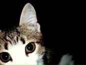 Фотография Сочивкин Дмитрий