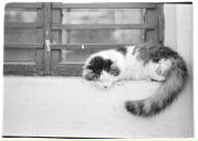 Фотография Бирюлиной Оли