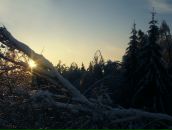 Фотография Бардыго Александры