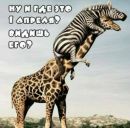 Вероніка Димарчук фотография #6 (источник - https://vk.com/id169106702)