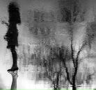 Ліля Царевич фотография #12 (источник - https://vk.com/id114478401)