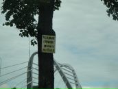 Лидия Дедер фотография #48 (источник - https://vk.com/id655541)