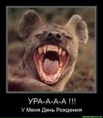Фотография Бикмаева Тимура