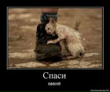 Оксана Калиниченко фотография #31 (источник - https://vk.com/id2298249)