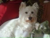 Вероніка Бендик фотография #23 (источник - https://vk.com/id121786032)