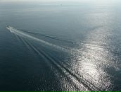 Андрій Приймачук фотография #21 (источник - https://vk.com/id21684313)