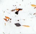 Фотография Соколовой Екатерины