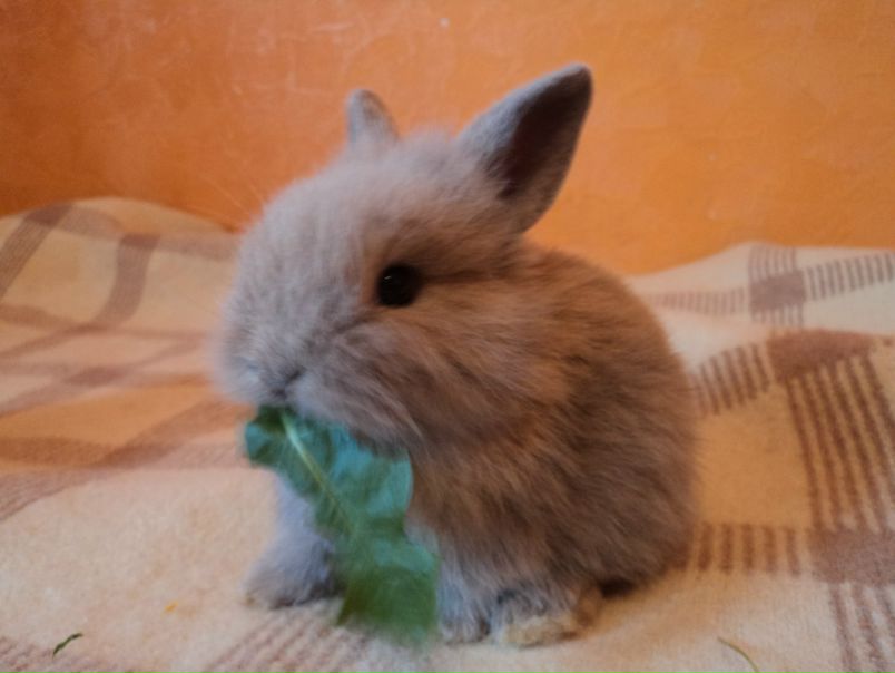 Кирилл Пасынков фото №41