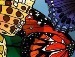 Юля Паньків-Слободенюк фотография #45 (источник - https://vk.com/id28666068)