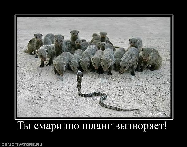 Игорь Приходько фотография #24