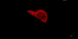 Андрій Штангрет фотография #41 (источник - https://vk.com/id16162807)