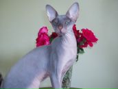 Ян Игоров фотография #7 (источник - https://vk.com/id733953)