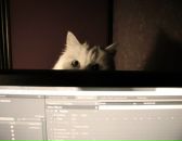 Влад Єфімов фотография #27 (источник - https://vk.com/id75363493)