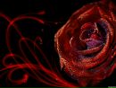 Κирилл Κовалев фотография #8 (источник - https://vk.com/id200986091)