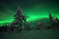 Фотография Финогеновой Елены