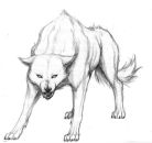 Фотография Демидова Артемия