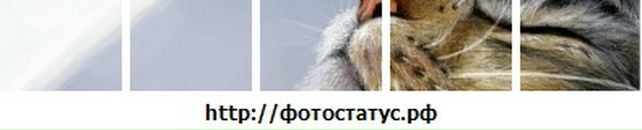 Машка Шверида-Вільшовська фотография #36 (источник - https://vk.com/id61837368)