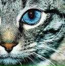 Фотография Щеголевой Натальи