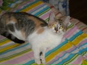 Фотография Романенко Сергея