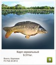 Славік Зайцев фотография #37 (источник - https://vk.com/id97164544)
