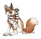 Фотография Алфёровой Рины