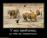 Фотография Сопегиной Анастасии