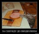 Svitlana Bērzupe фотография #38 (источник - https://vk.com/id89568189)