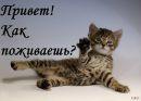 Лєра Колісник фотография #7 (источник - https://vk.com/id153189884)