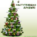 Фотография Новиковой Елены