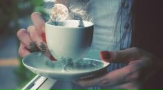 Κристина Κовалева фотография #12 (источник - https://vk.com/id13014459)