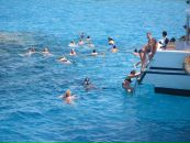 Анна Κириллова фотография #40 (источник - https://vk.com/id133623007)