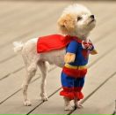 Лєнчік Стельмах фотография #34 (источник - https://vk.com/id143672004)