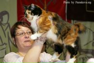 Фотография Перчиковой Елены