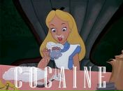 Фотография Шадриной Иры